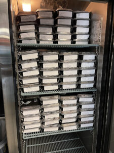 TCP MEALS
